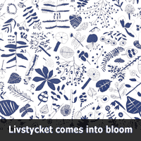 Livstyckets pattern Livstycket comes into bloom